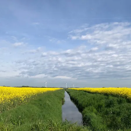 Apartment Tief 12 Meeresbrise Mit Internet 52 *