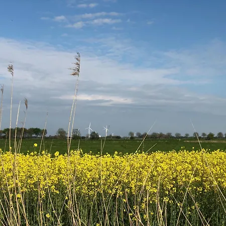 Apartment Tief 12 Meeresbrise Mit Internet 52 *