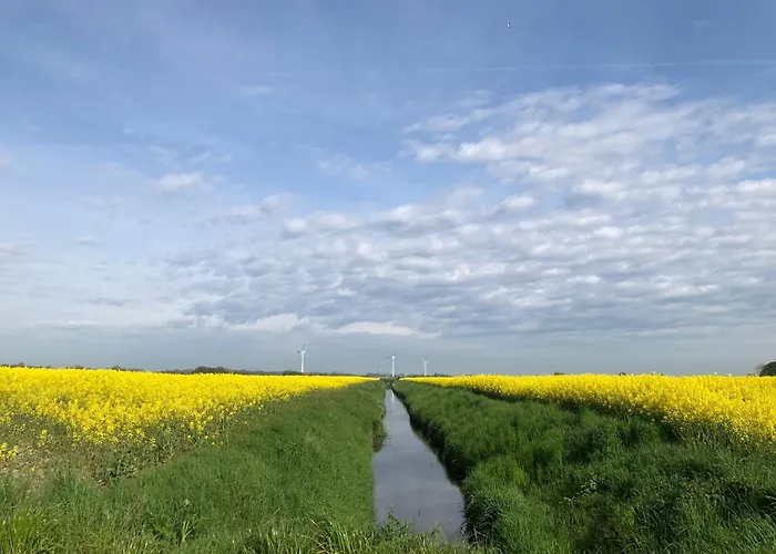 Daire Tief 12 Meeresbrise Mit Internet 52 *