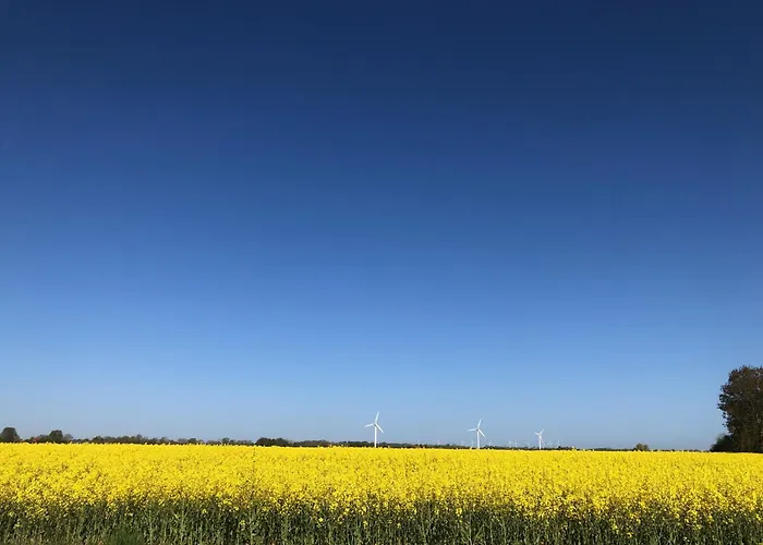 Tief 12 Meeresbrise Mit Internet 52 Daire Schillig