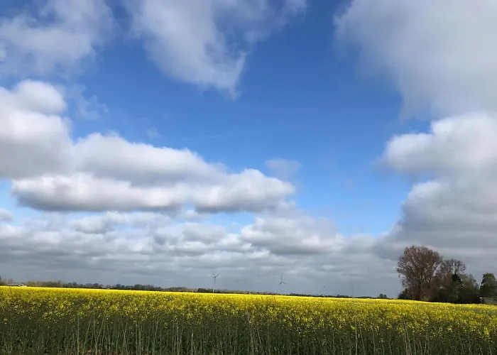 Daire Tief 12 Meeresbrise Mit Internet 52 Schillig