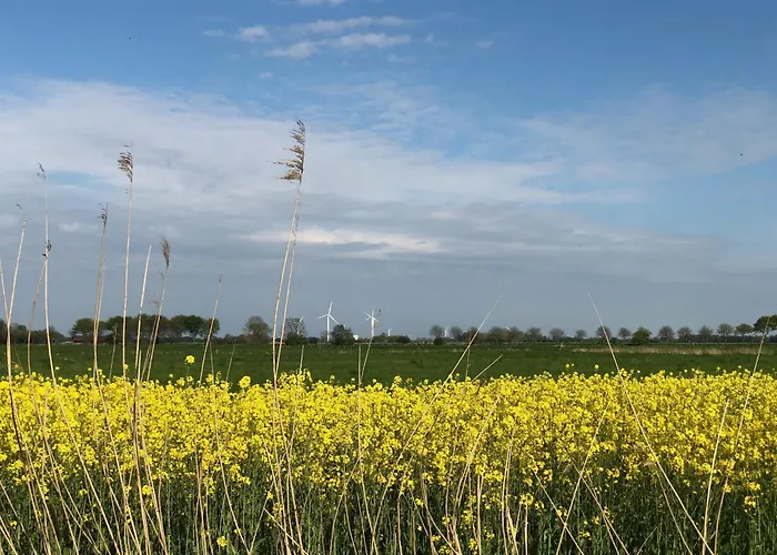 Daire Tief 12 Meeresbrise Mit Internet 52 *